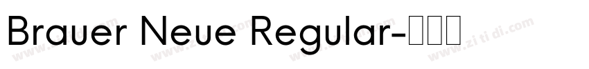 Brauer Neue Regular字体转换